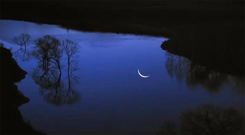 Ӱ֮ΩҪ(d)